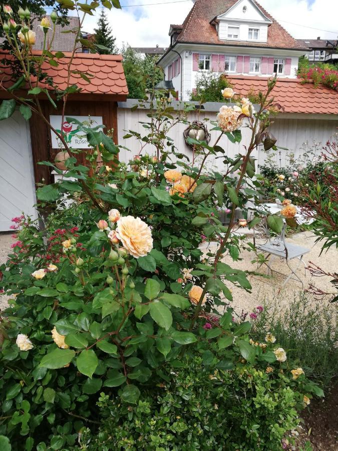 B&B Rosenliebe Niedereschach Exteriér fotografie