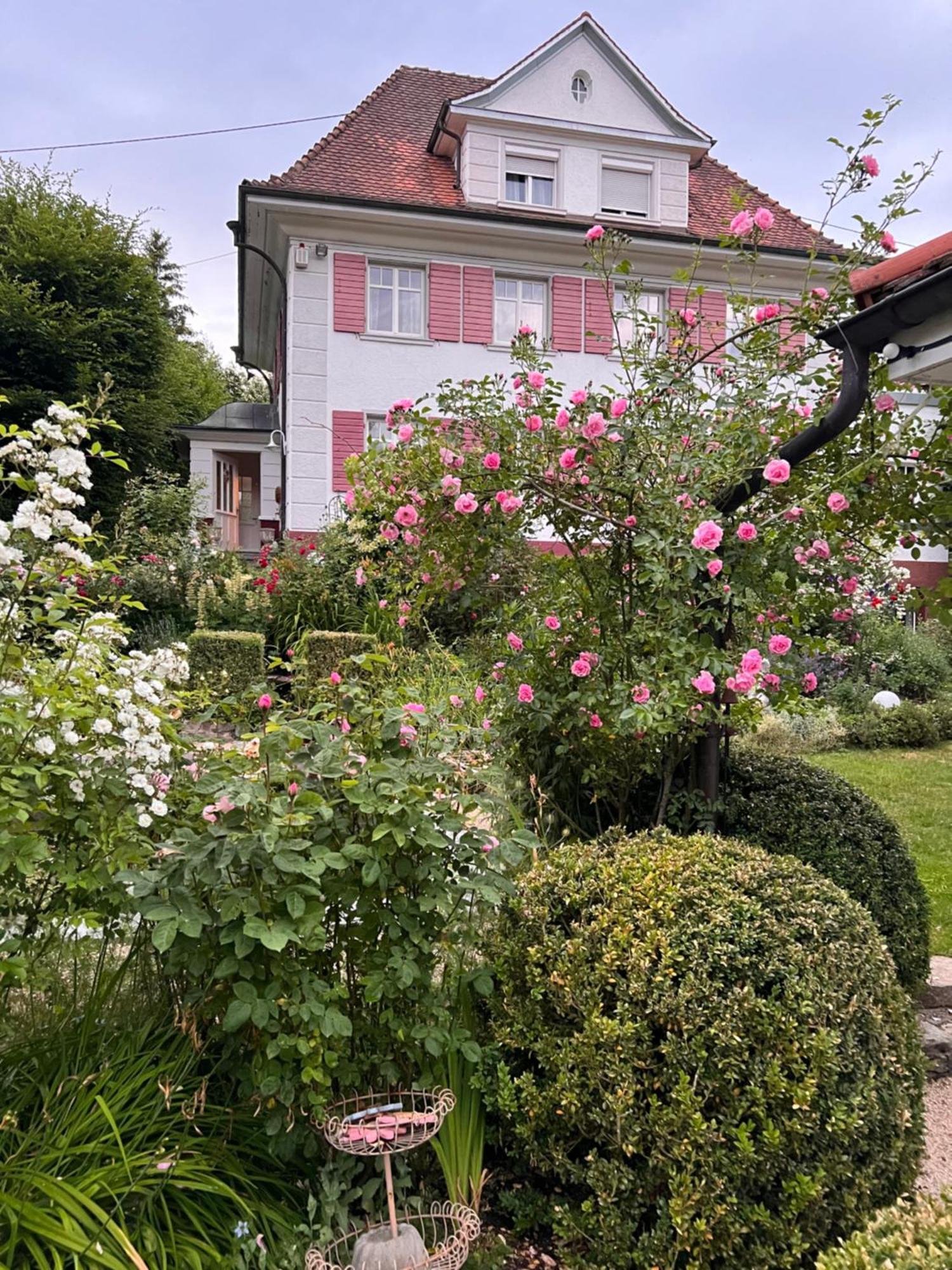 B&B Rosenliebe Niedereschach Exteriér fotografie